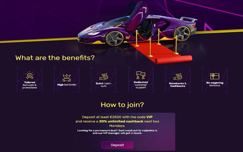 Winz.io VIP tier ladder and rebate breakpoints